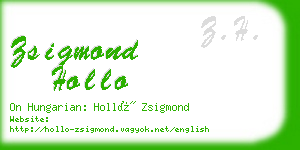 zsigmond hollo business card